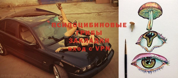 apvp Мегион