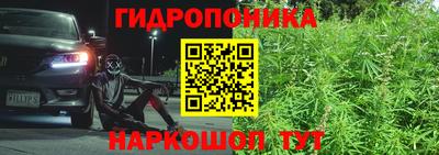 не бодяженный Гай