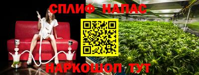 молекула духа Гатчина
