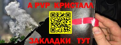 не бодяженный Гай