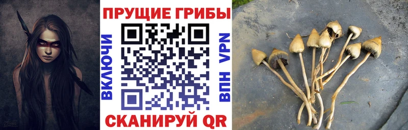 Галлюциногенные грибы Psilocybe  ОМГ ОМГ рабочий сайт  Раменское  купить наркотики сайты 