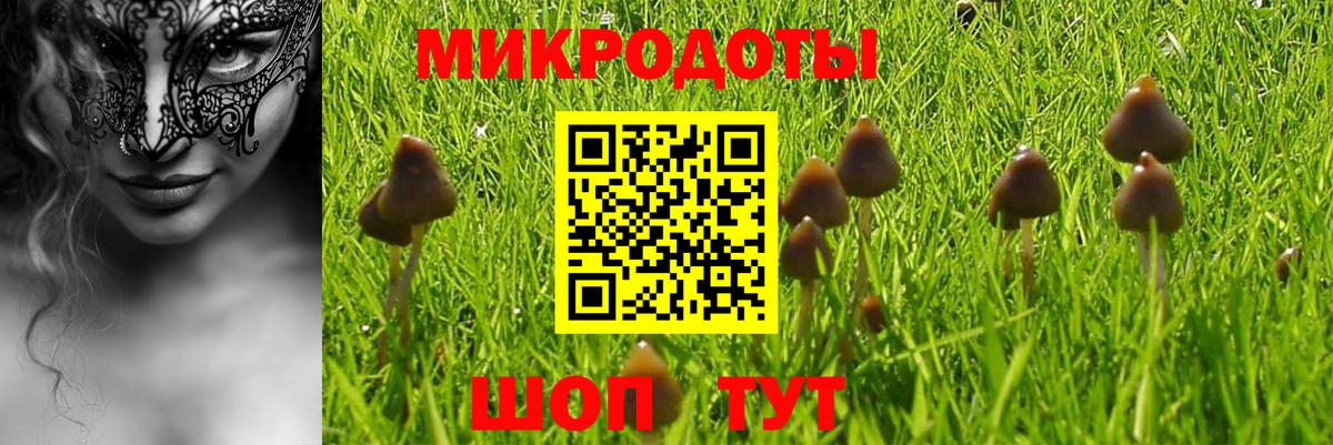 Раменское  Псилоцибиновые грибы ЛСД  Вход с VPN 