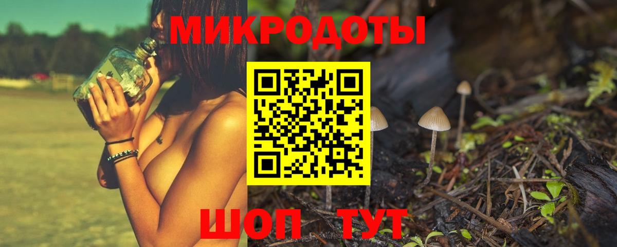 Галлюциногенные грибы прущие грибы Раменское